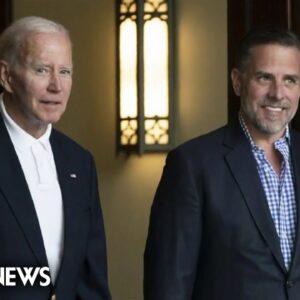 Whistleblowers accuse DOJ of giving Hunter Biden special treatment